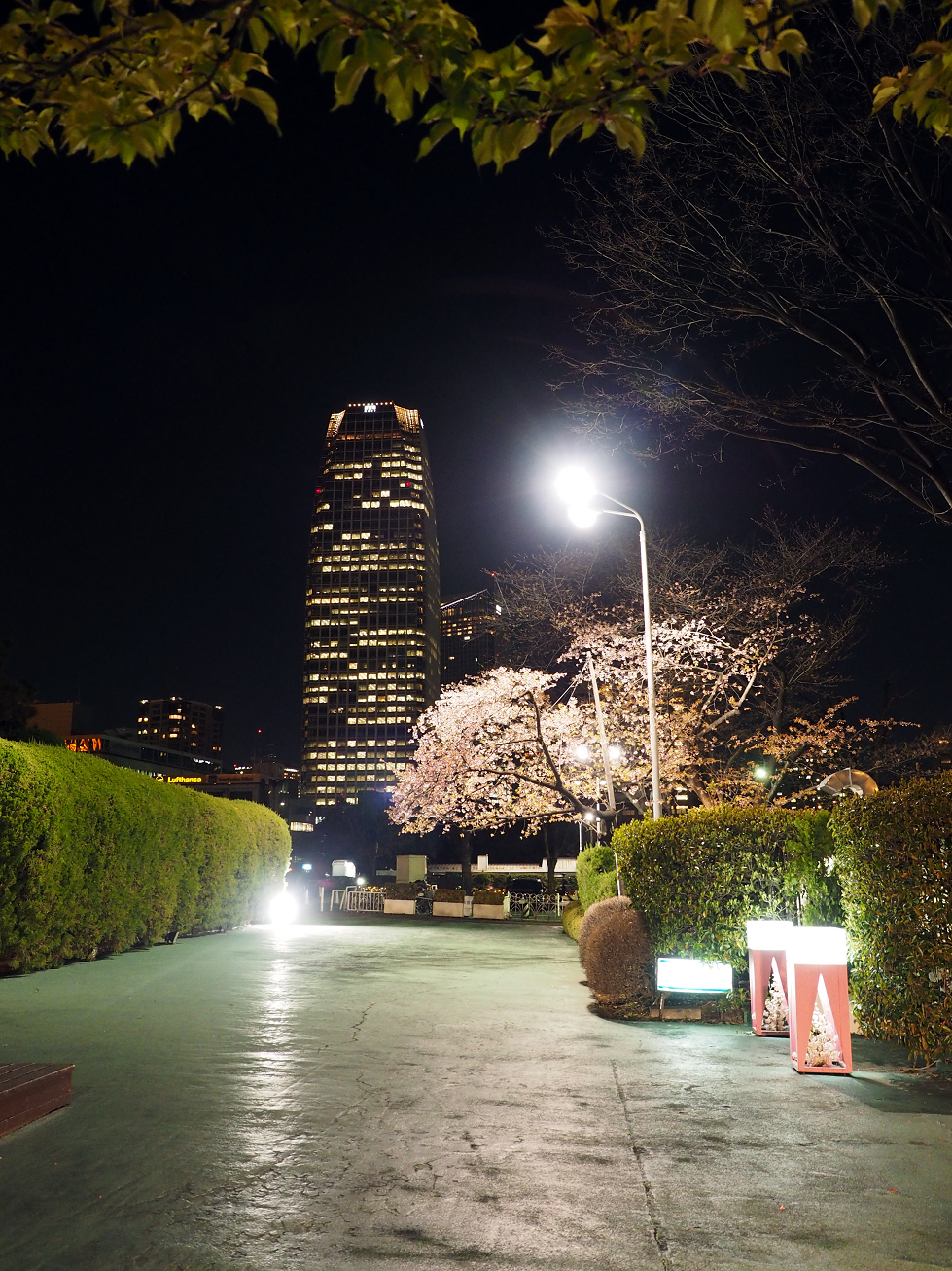P3255246.jpg