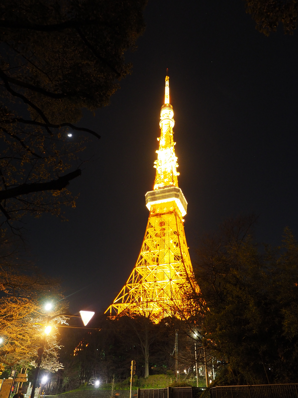 P3255279.jpg