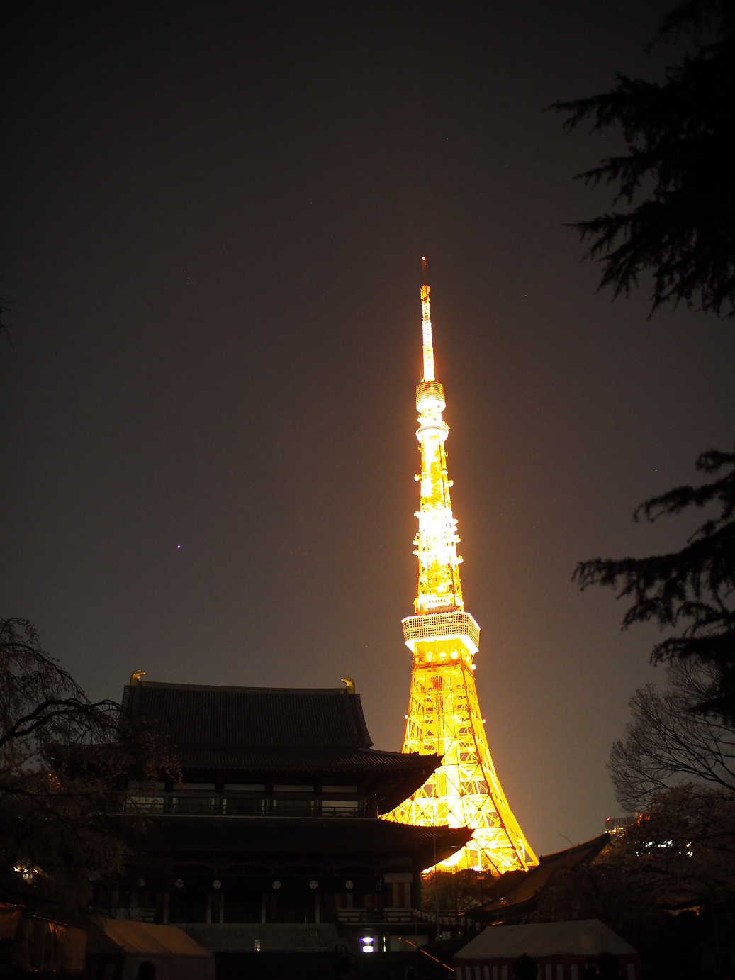 P3305401.jpg