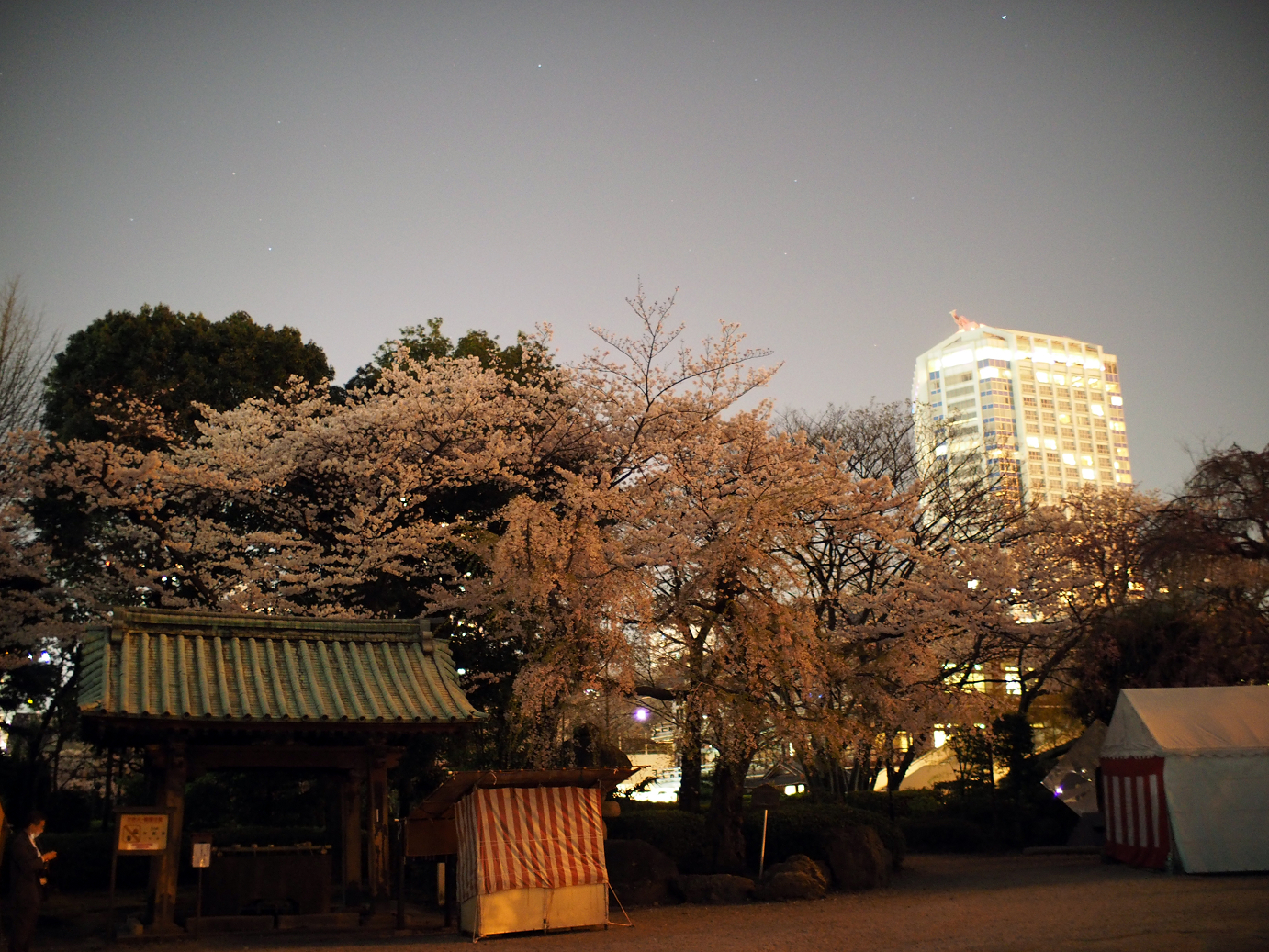 P3305405.jpg