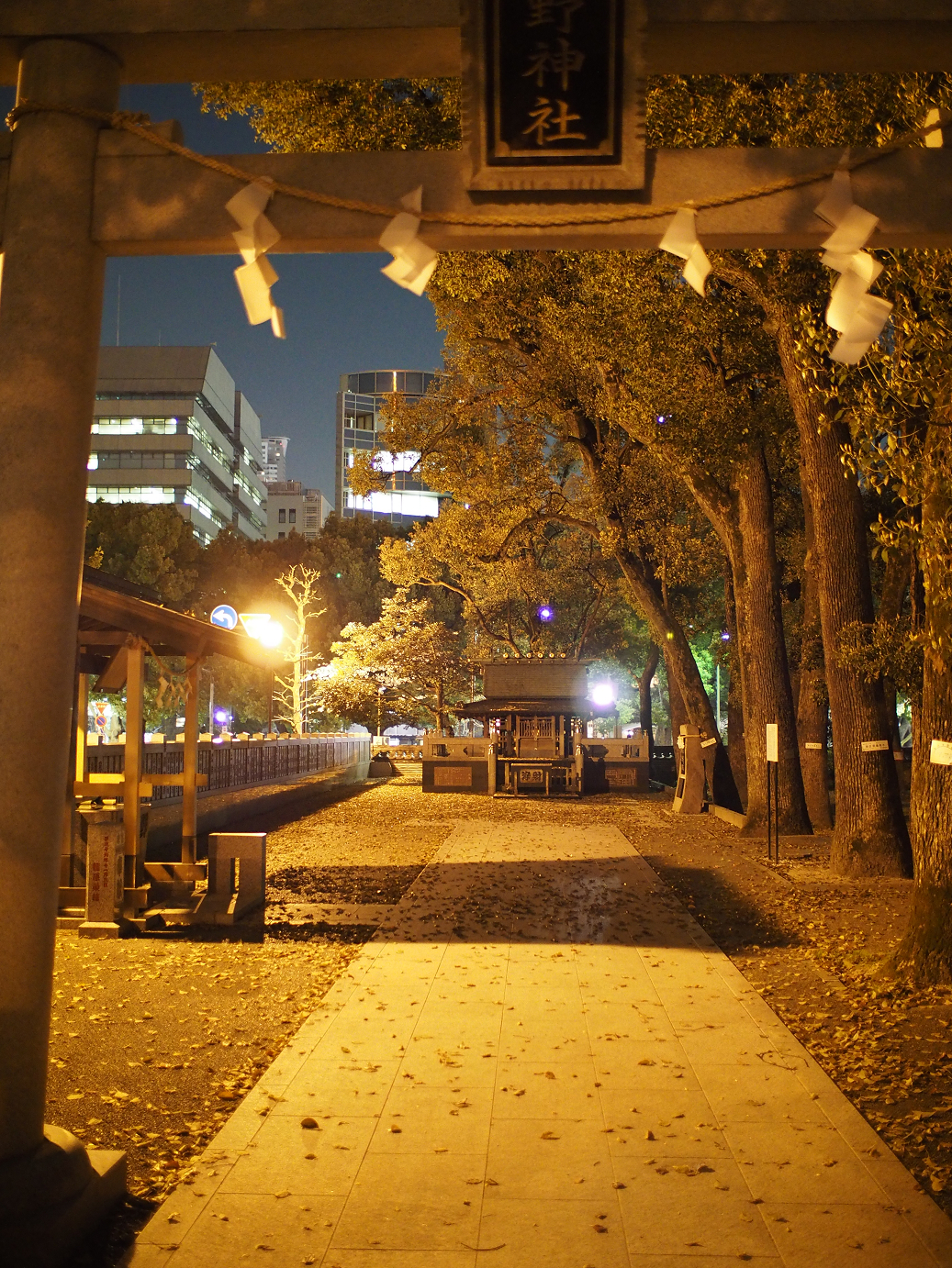P3305429.jpg