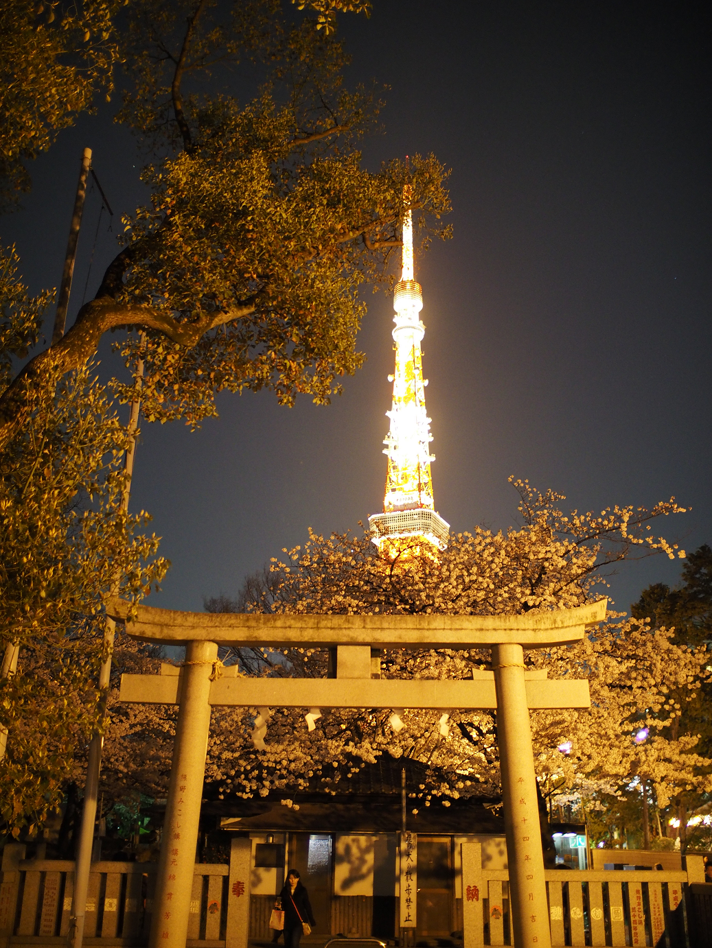 P3305434.jpg