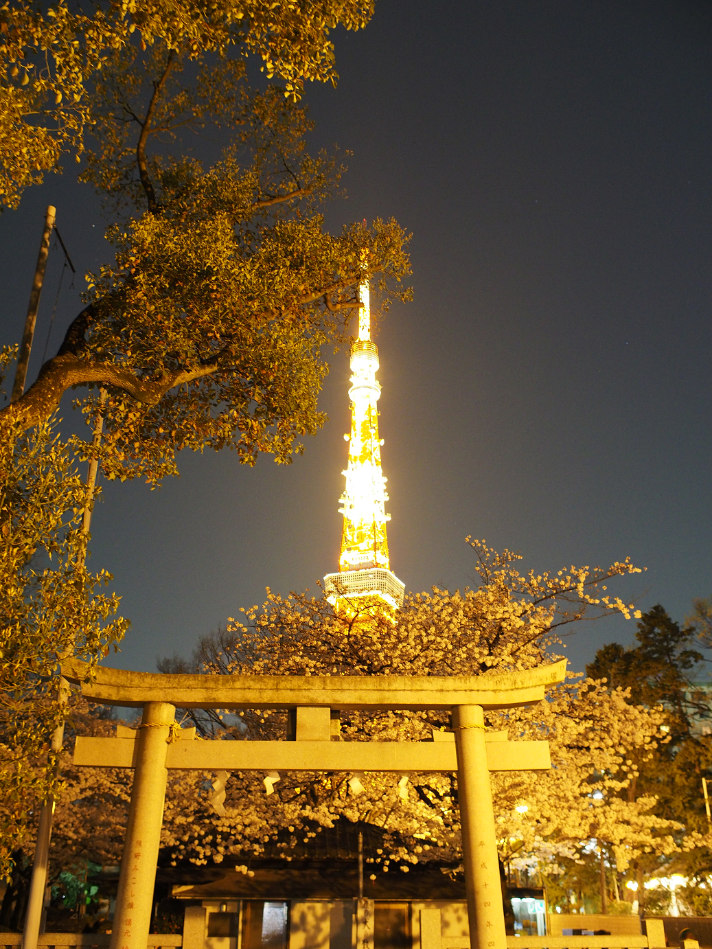 P3305437.jpg