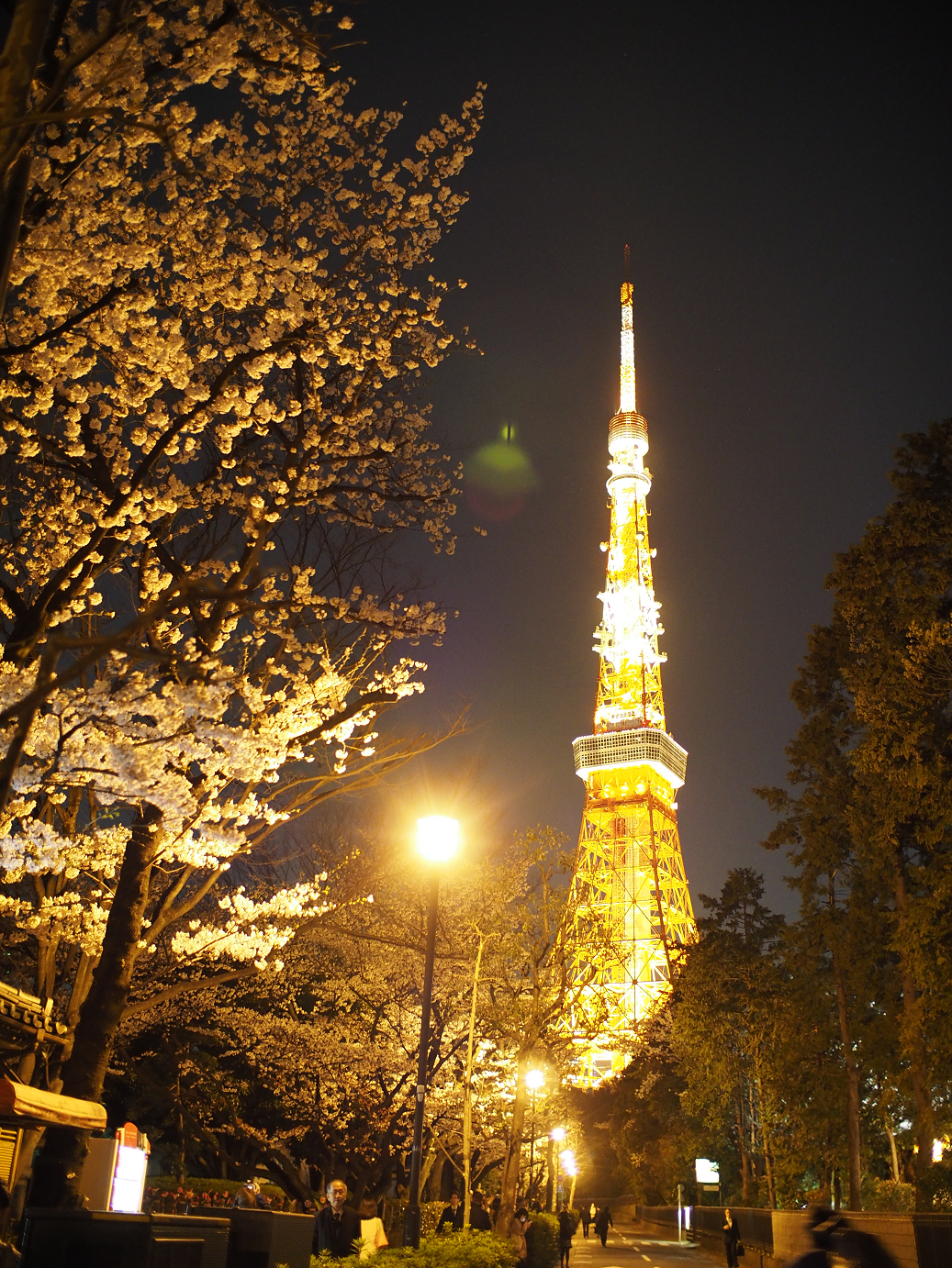 P3305446.jpg