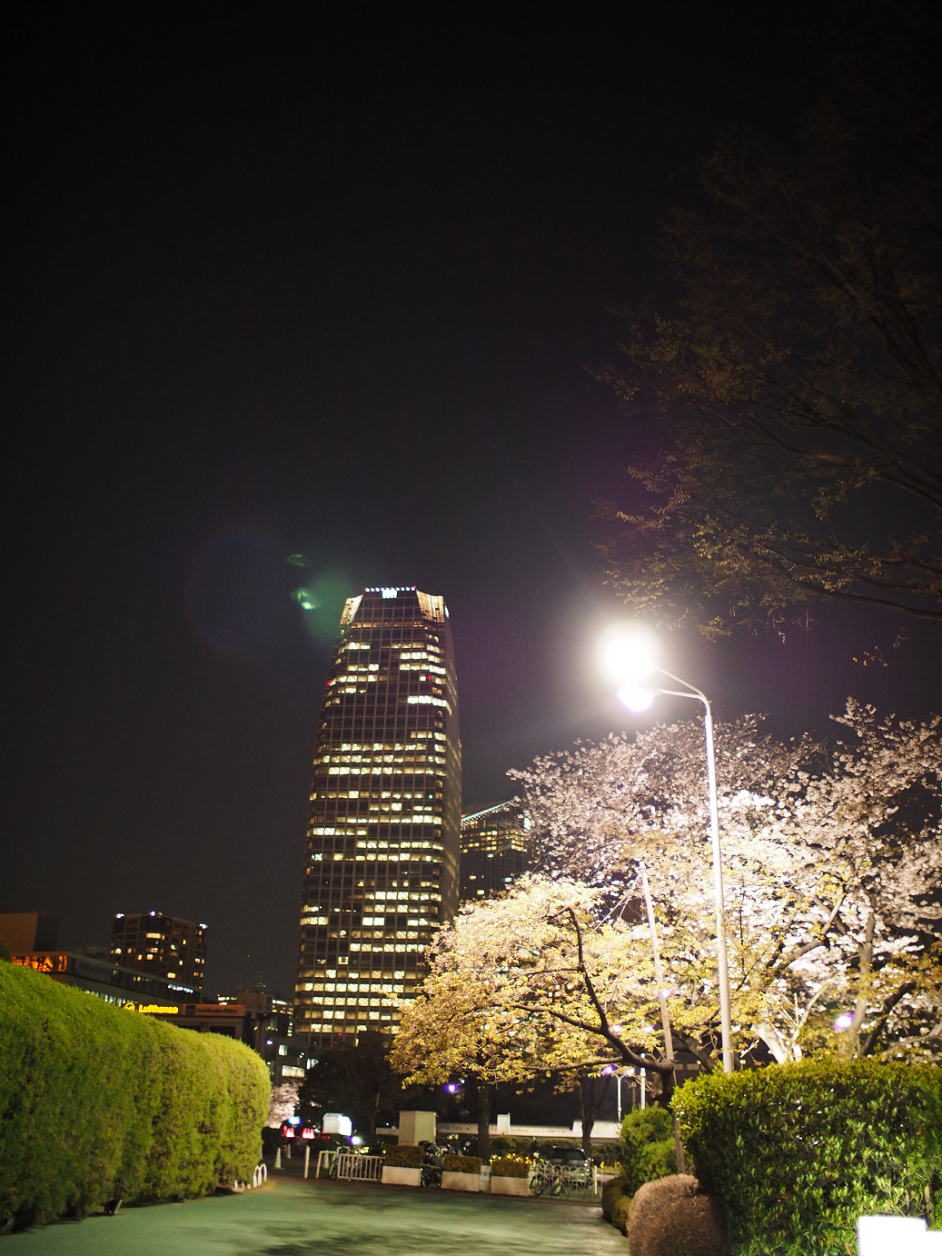 P3305477.jpg