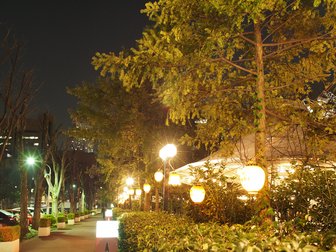 P3305494.jpg