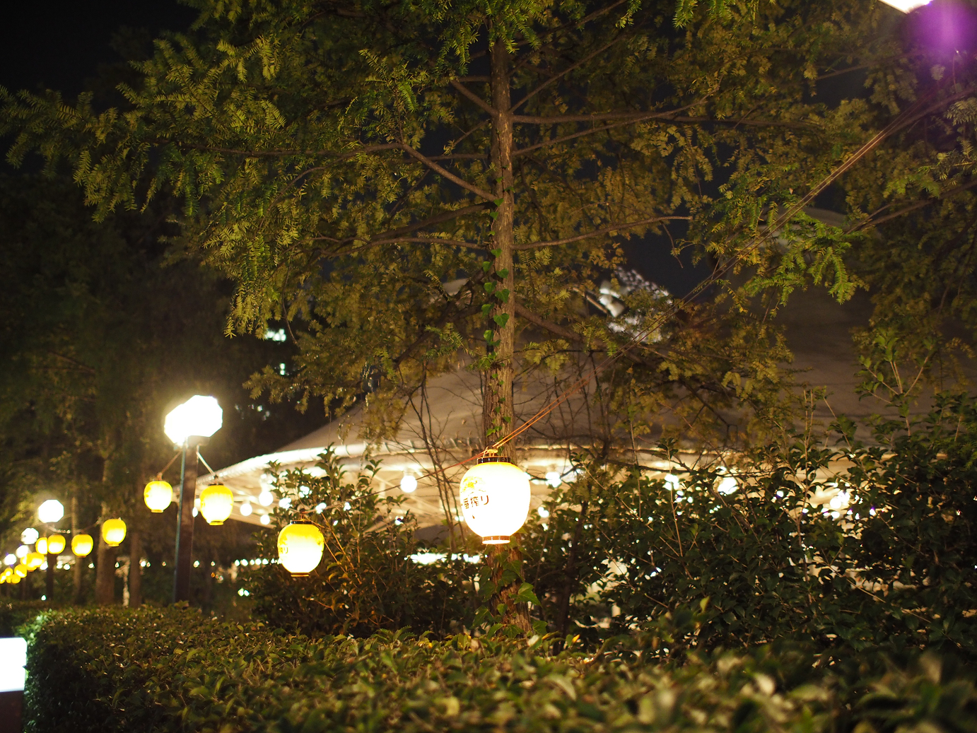 P3305498.jpg