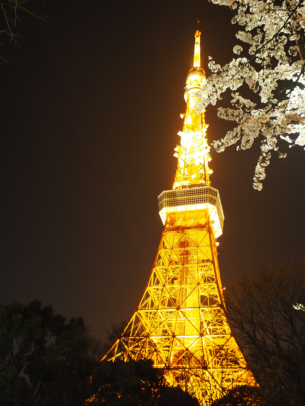 P3305535.jpg