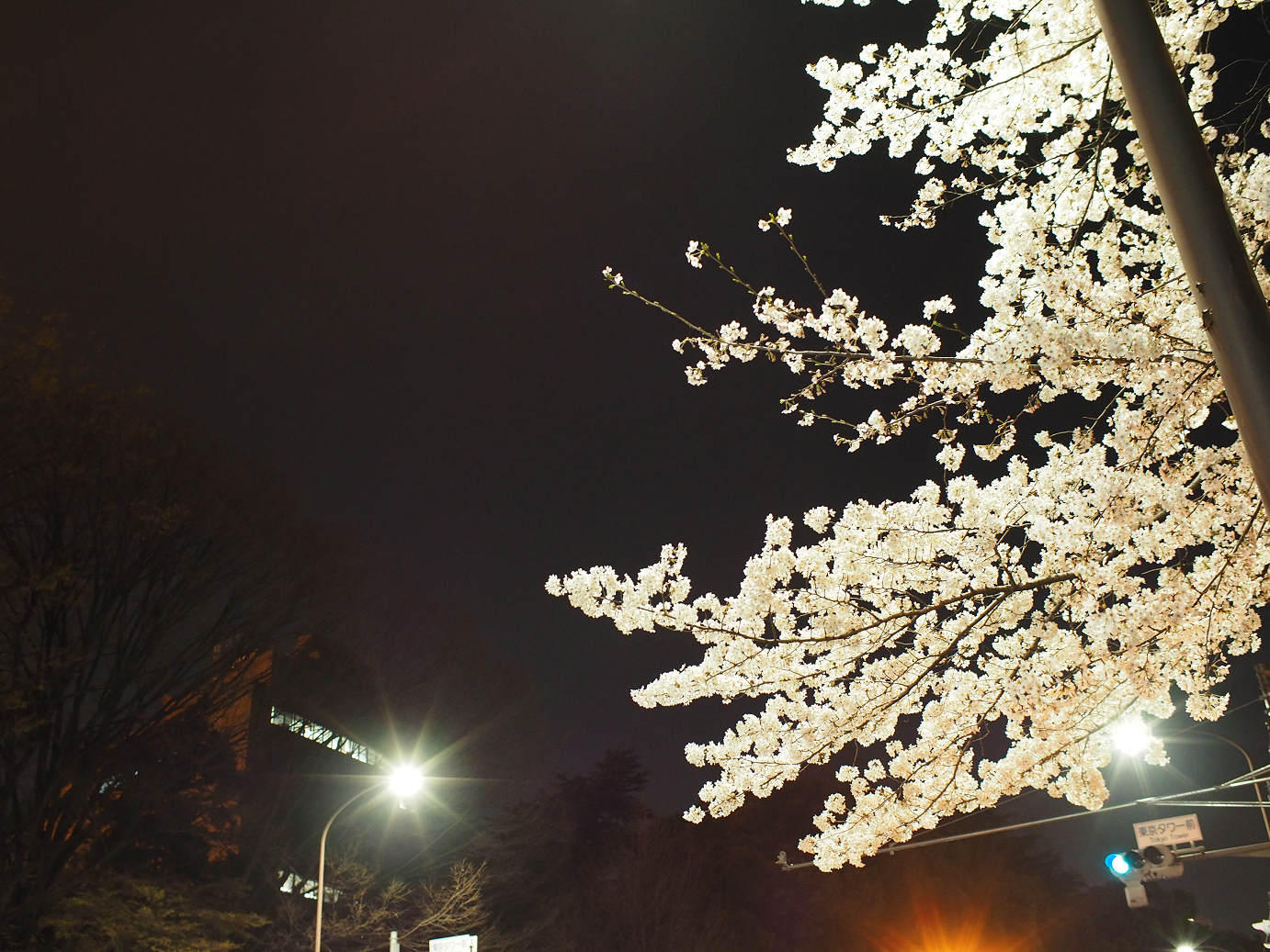 P3305542.jpg