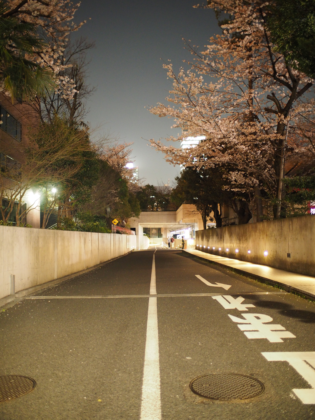 P3305569.jpg