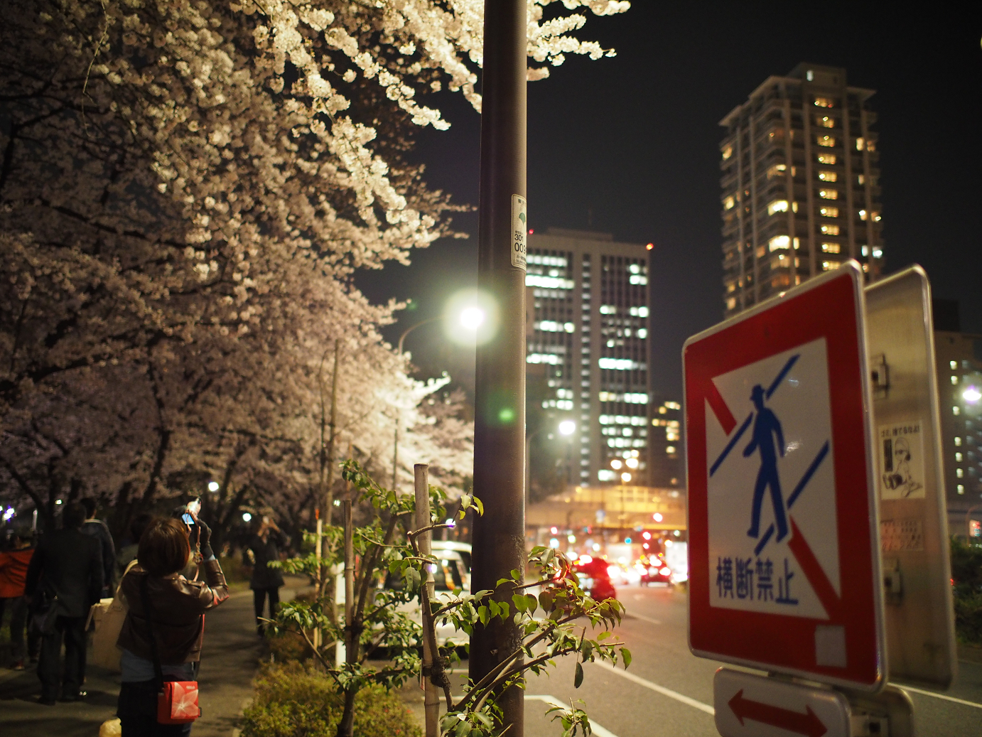P3305582.jpg