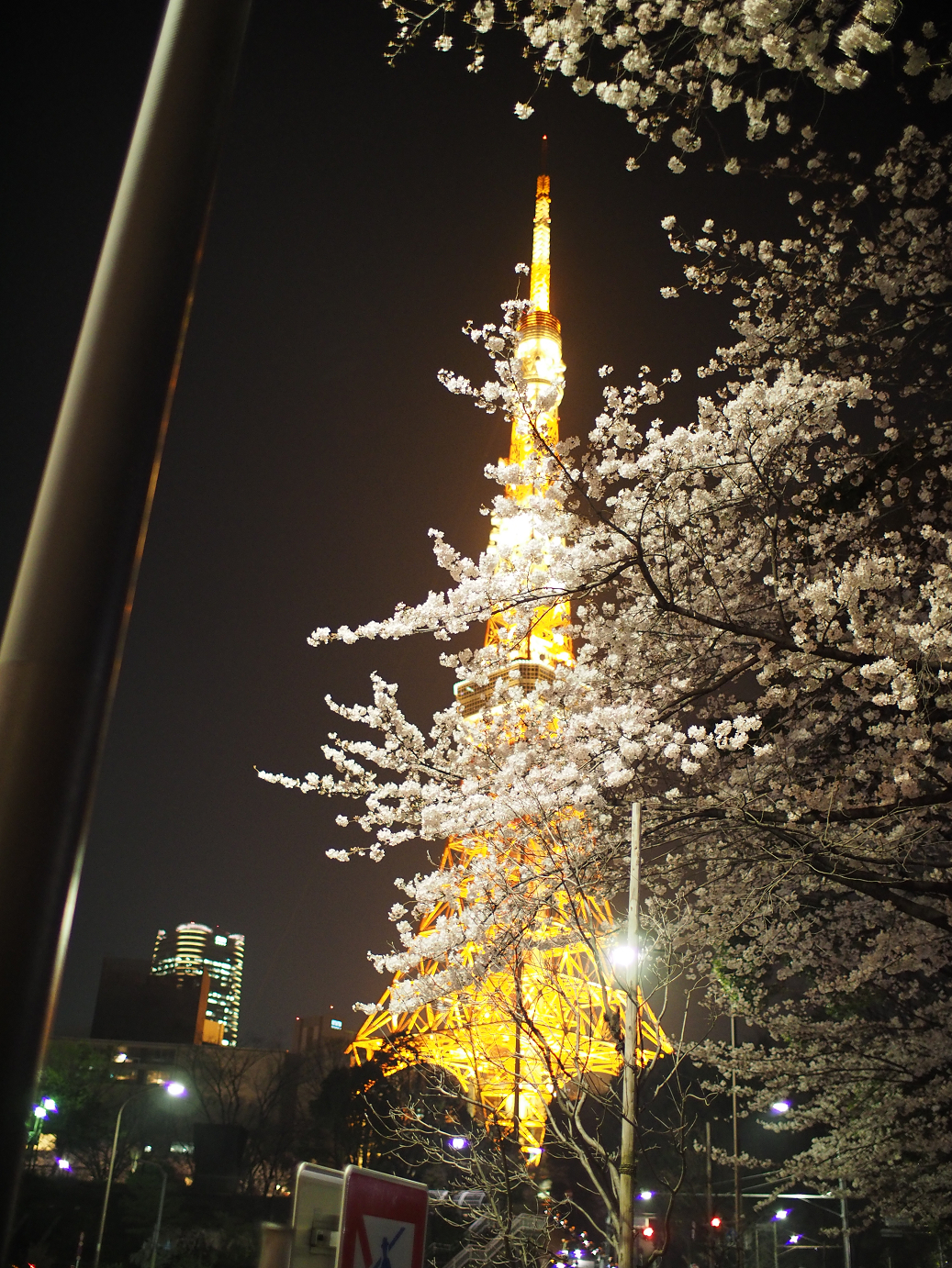 P3305583.jpg