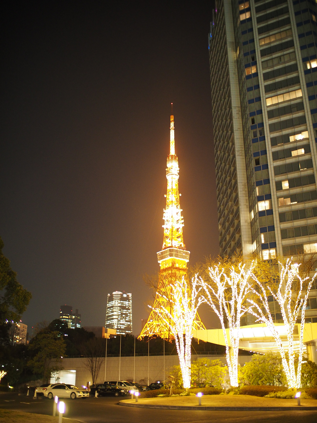 P3305592.jpg