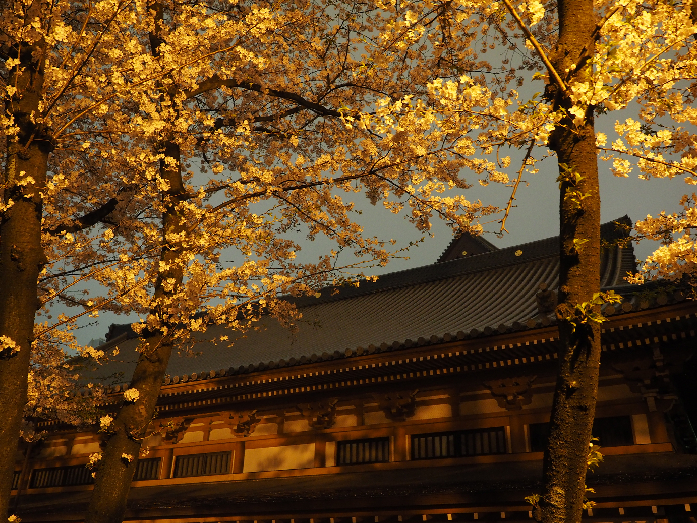P4015630.jpg