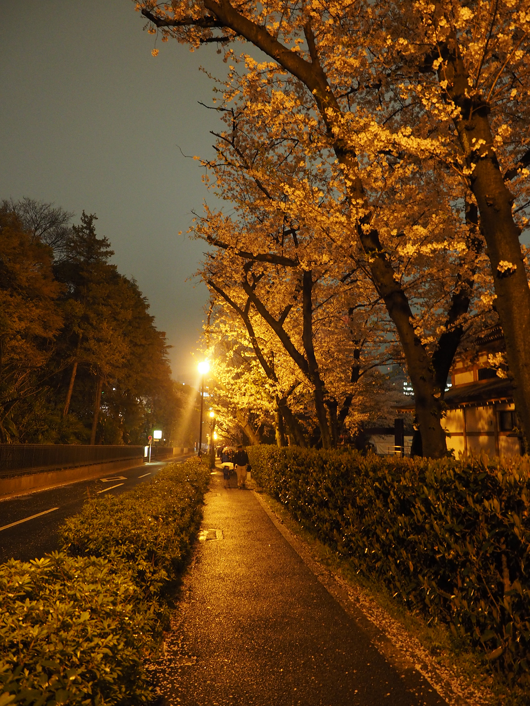 P4015632.jpg