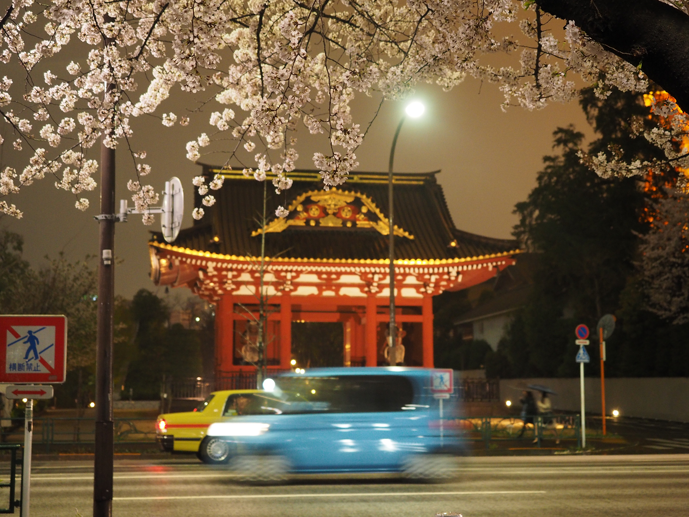 P4015684.jpg