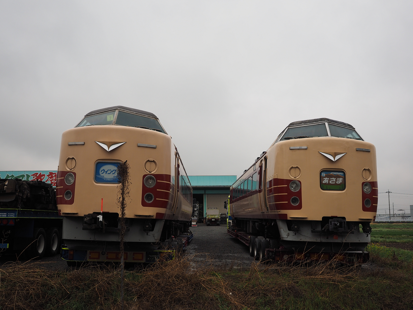P4085846.jpg