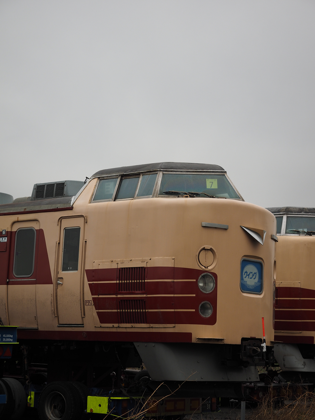 P4085859.jpg