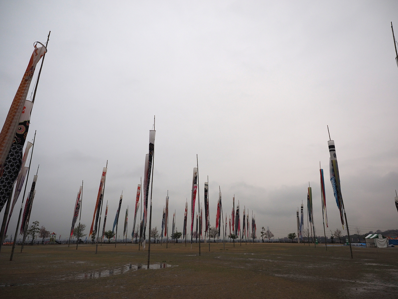 P4085894.jpg