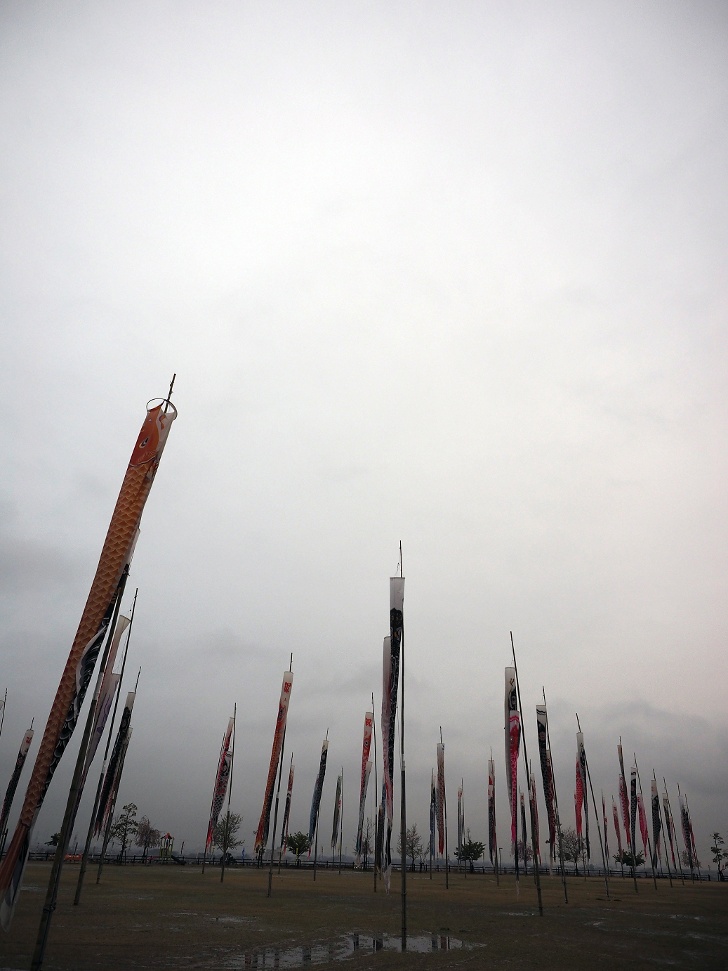 P4085895.jpg