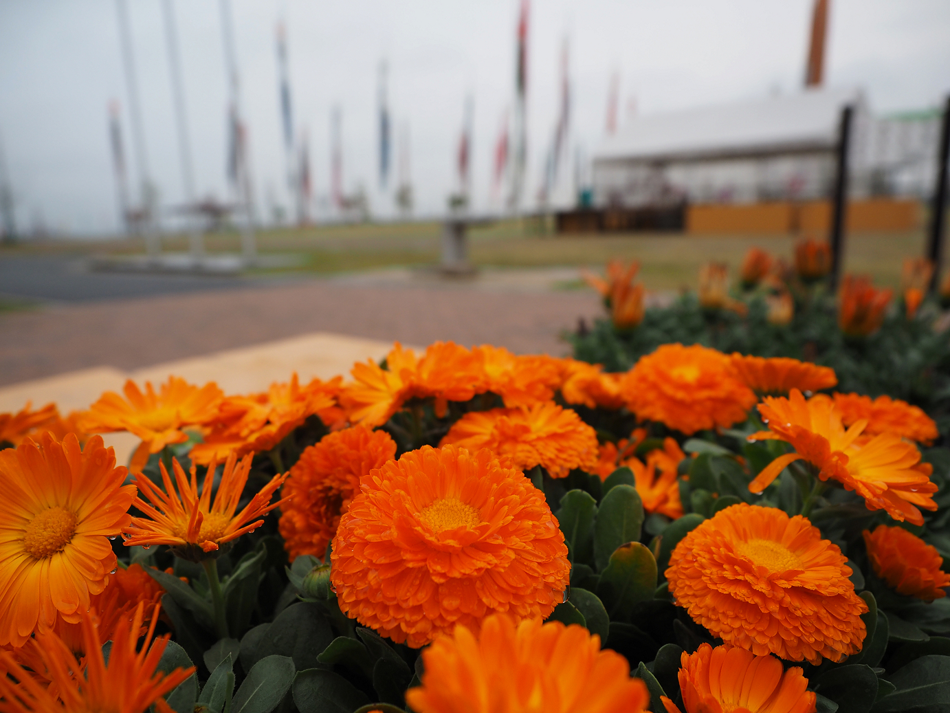 P4085897.jpg