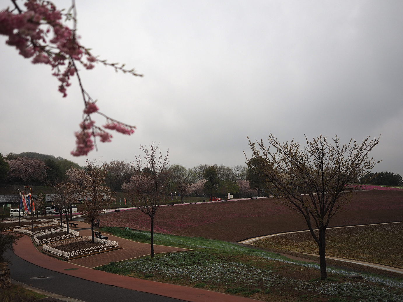 P4085942.jpg
