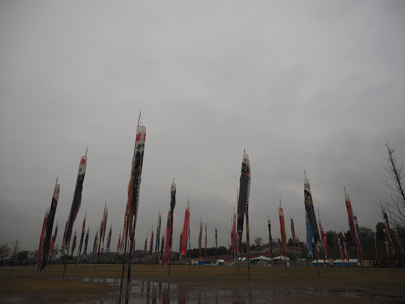 P4085947.jpg