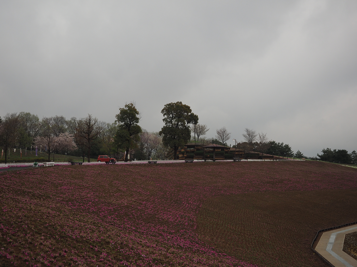 P4085949.jpg
