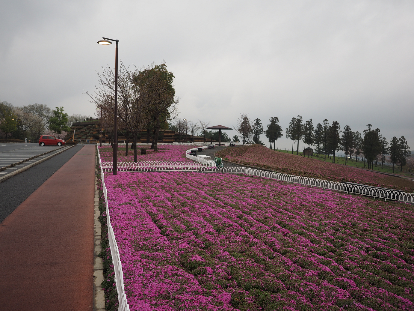 P4085950.jpg
