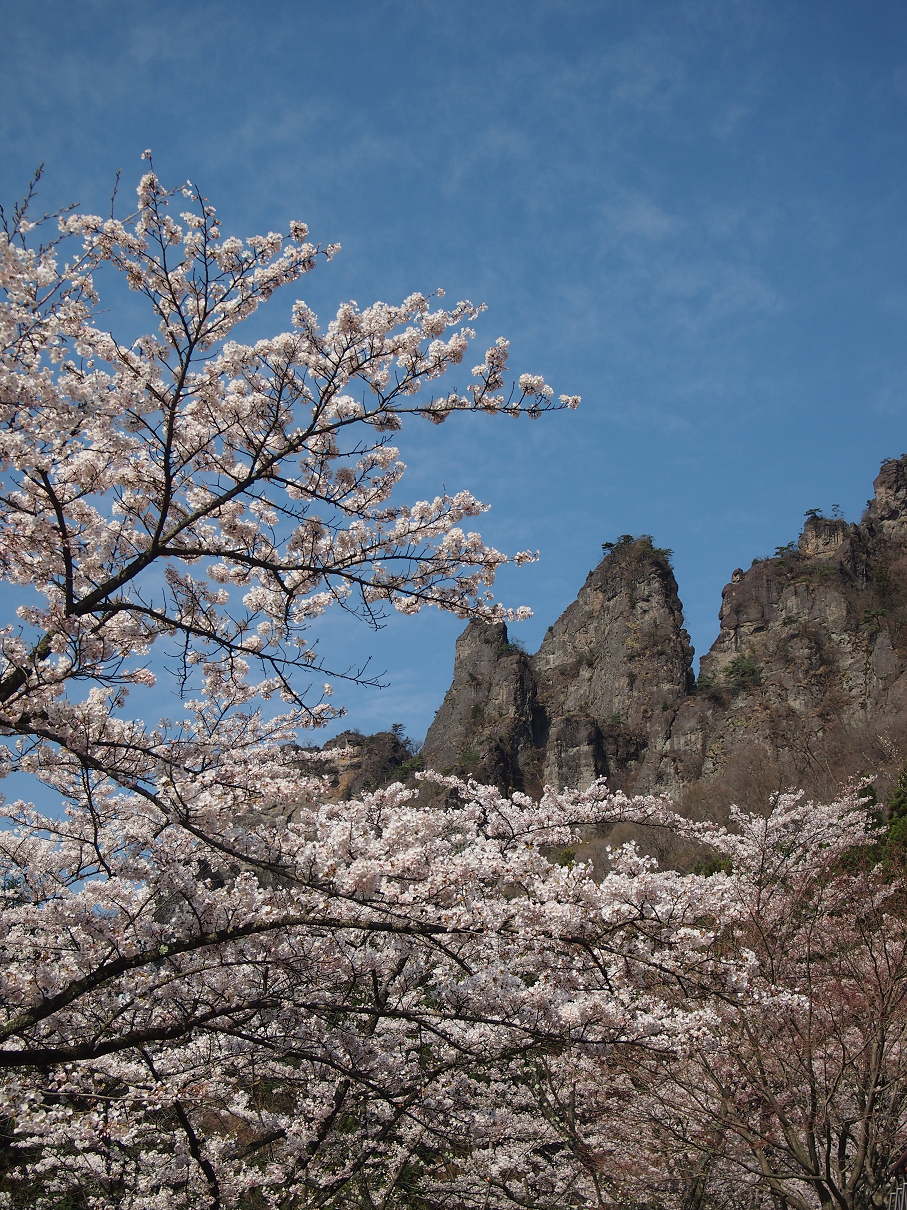 P4163751.jpg