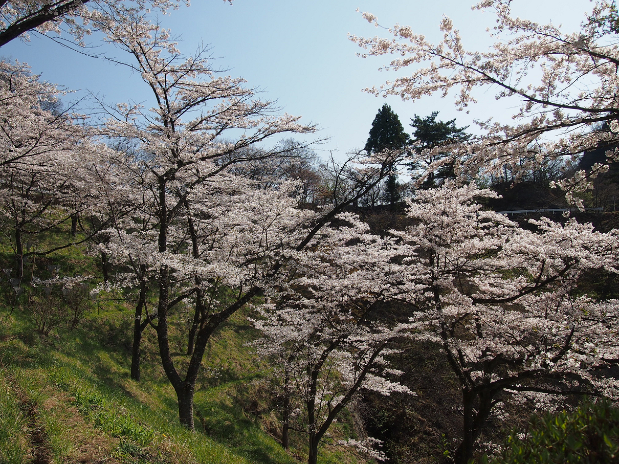 P4163752.jpg