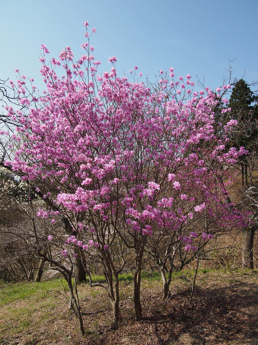 P4163755.jpg