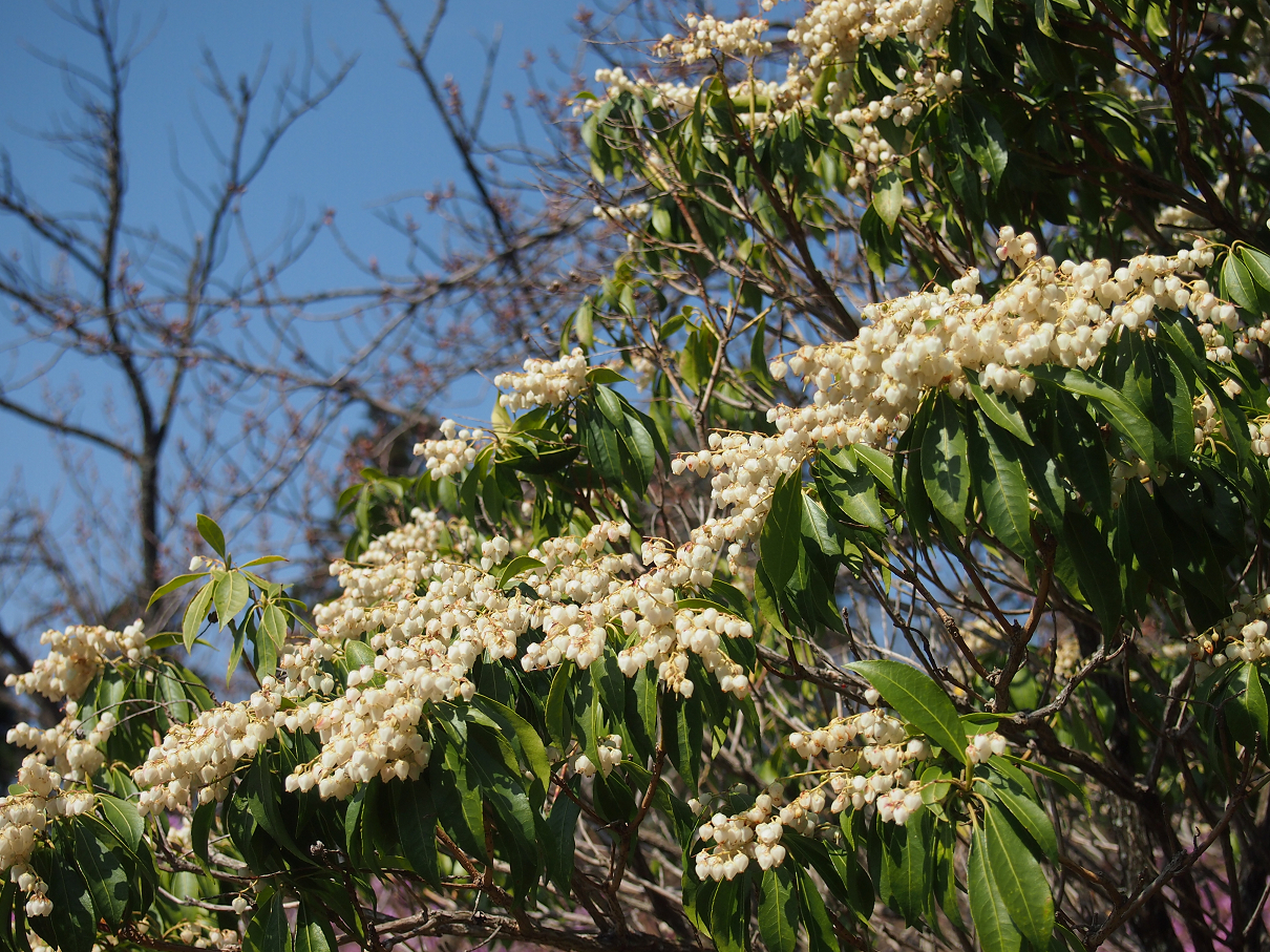 P4163759.jpg