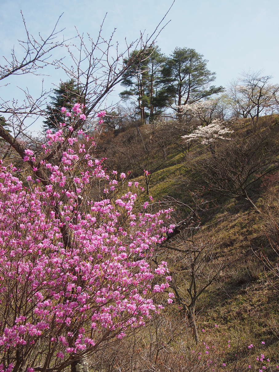 P4163761.jpg