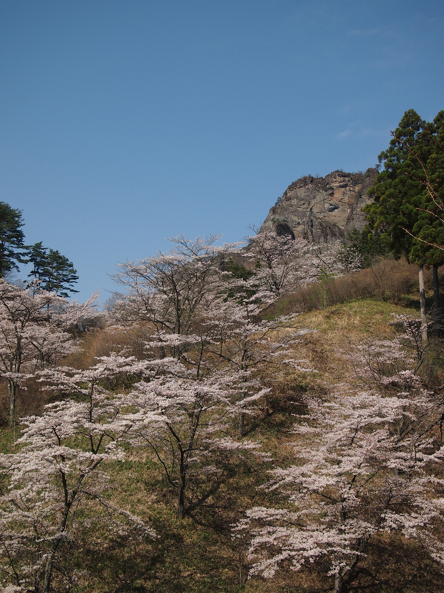 P4163763.jpg