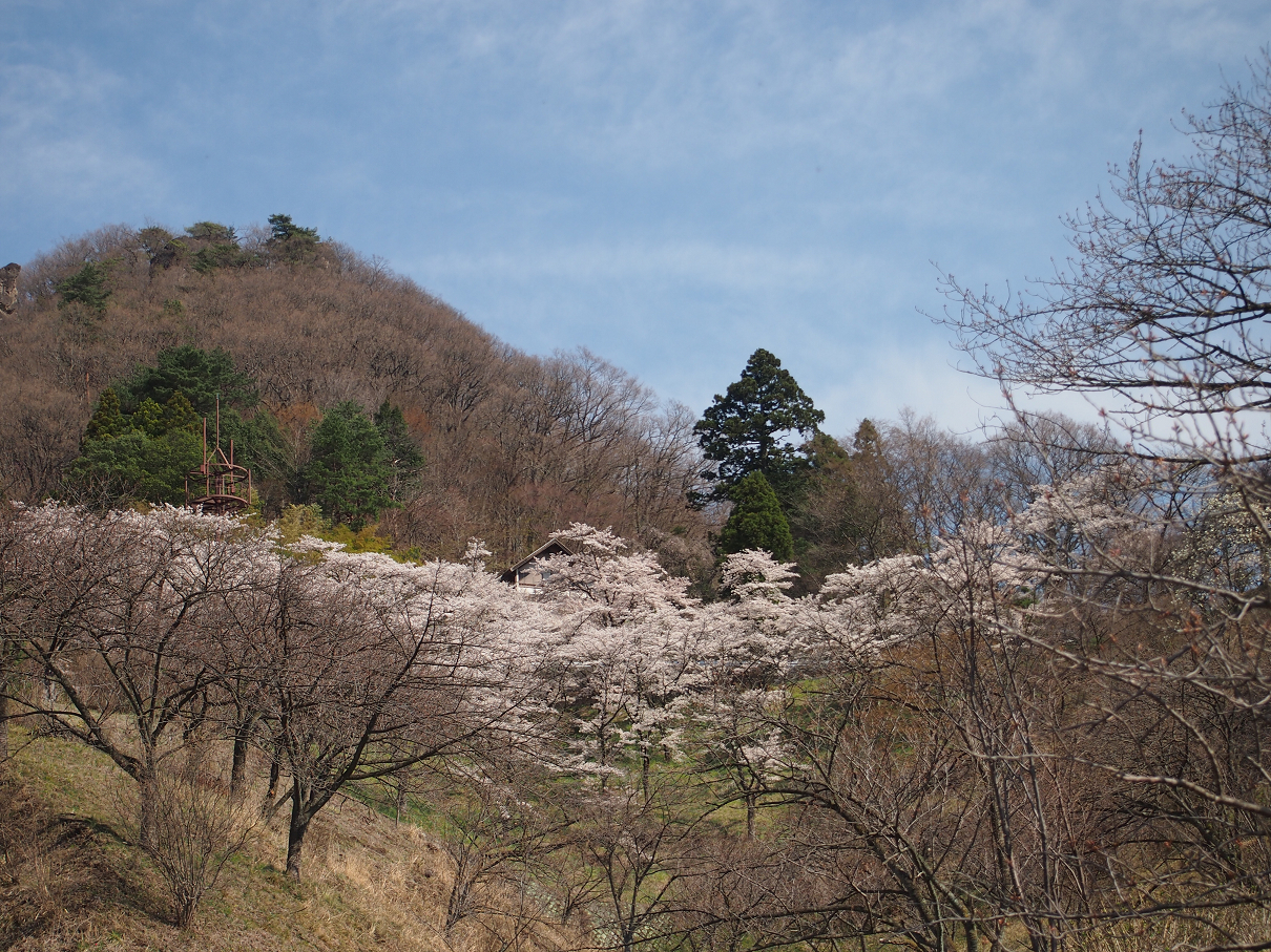 P4163764.jpg