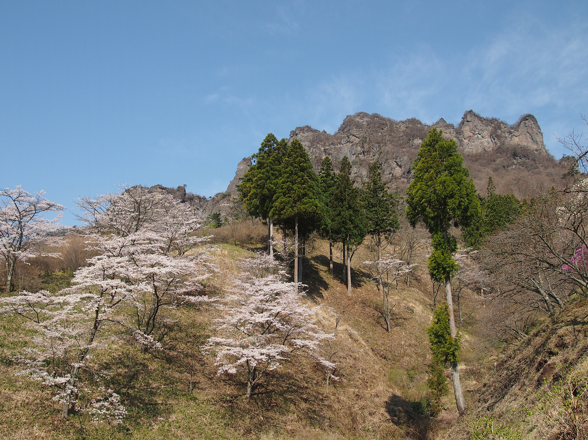P4163765.jpg