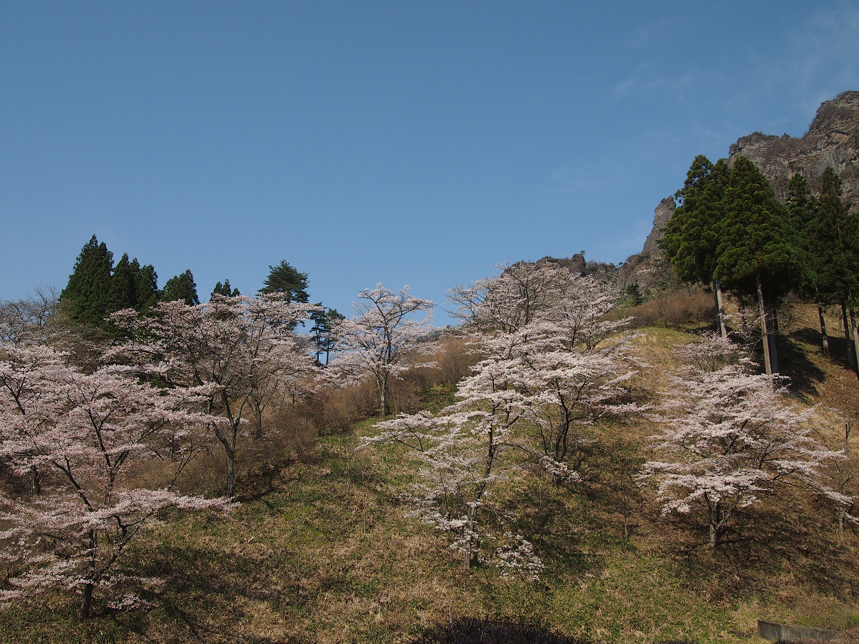 P4163766.jpg