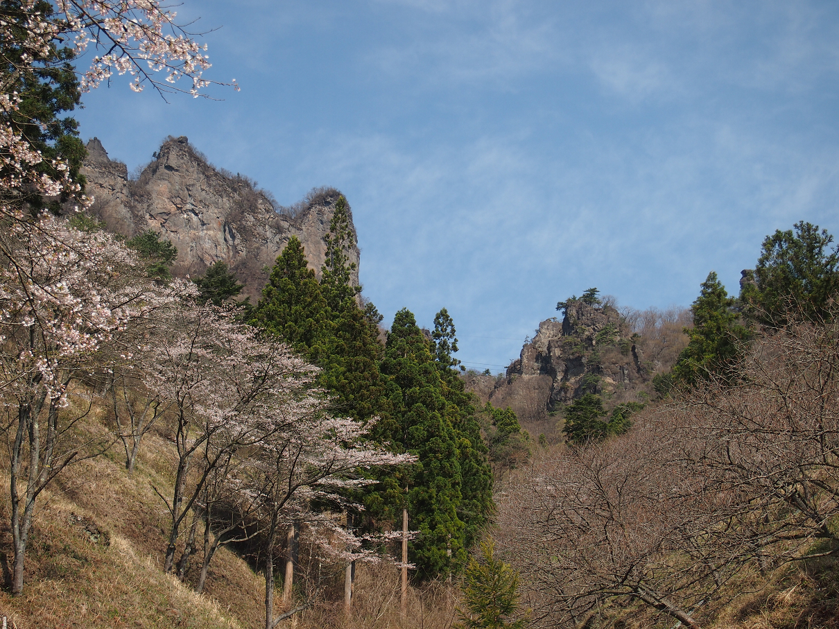 P4163769.jpg