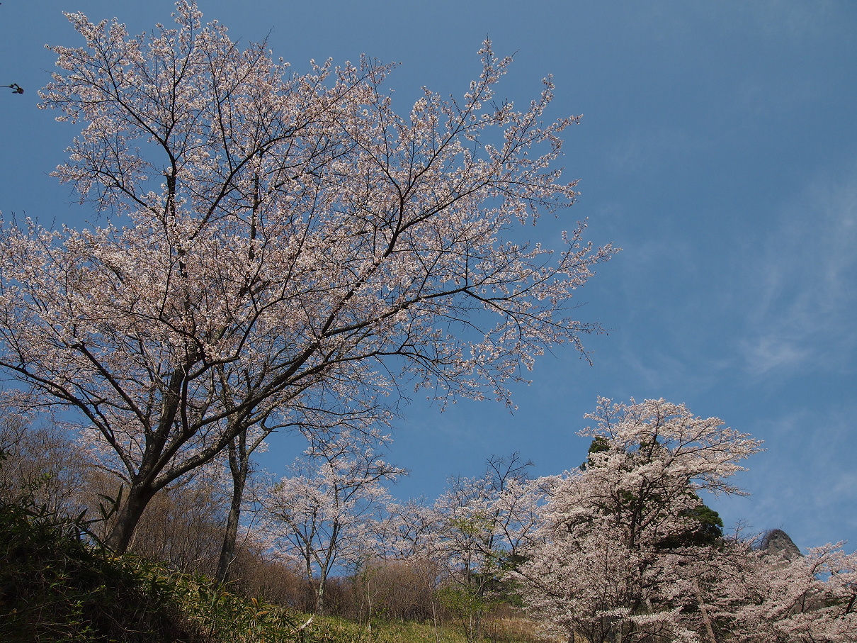 P4163771.jpg