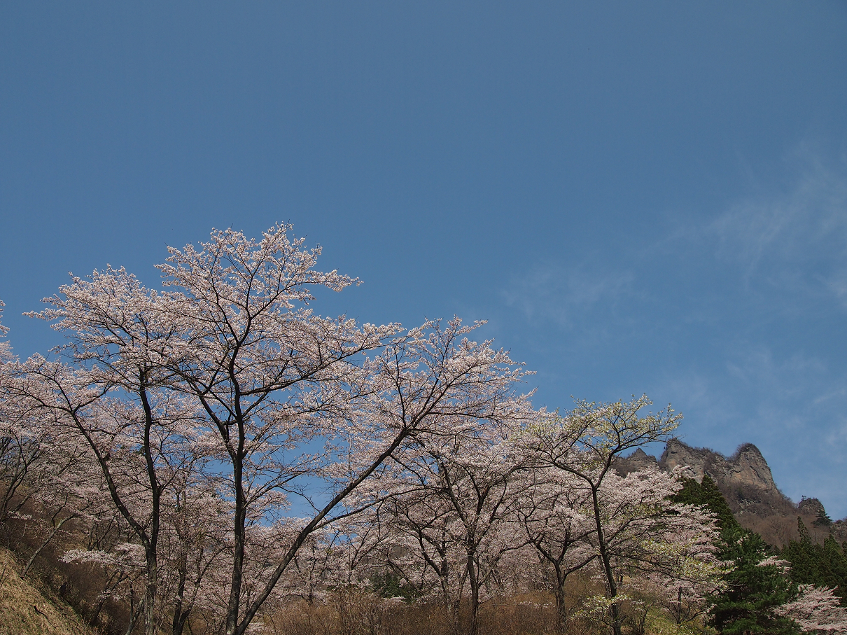 P4163774.jpg
