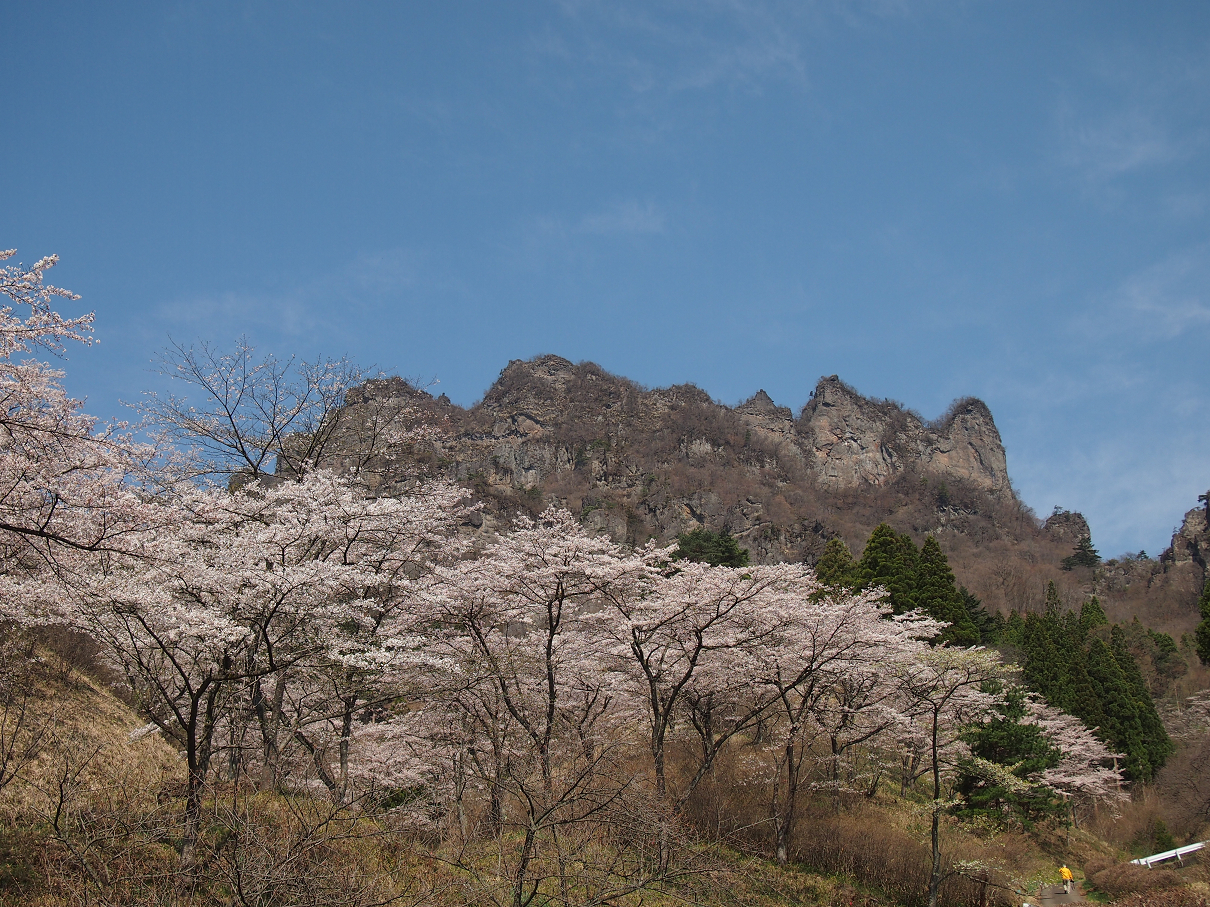 P4163776.jpg