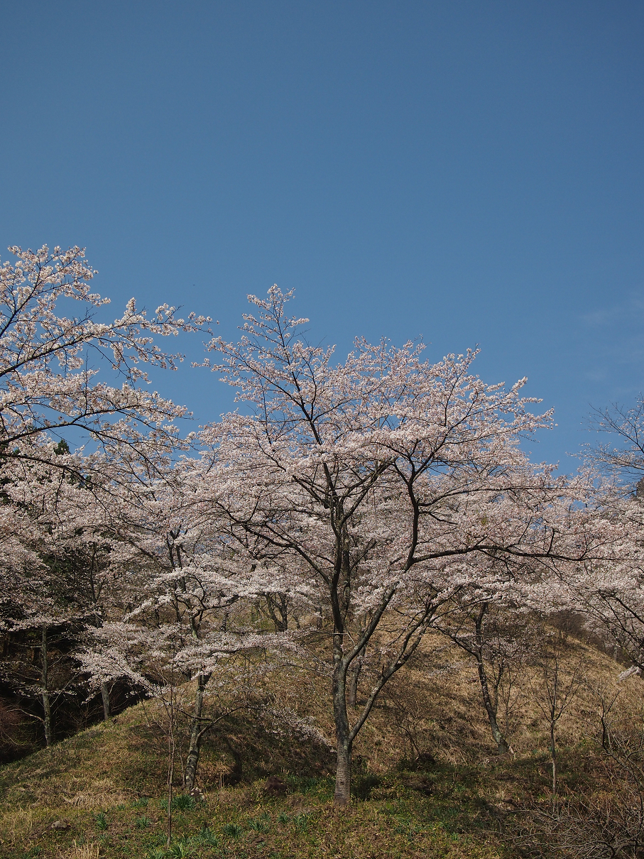 P4163777.jpg