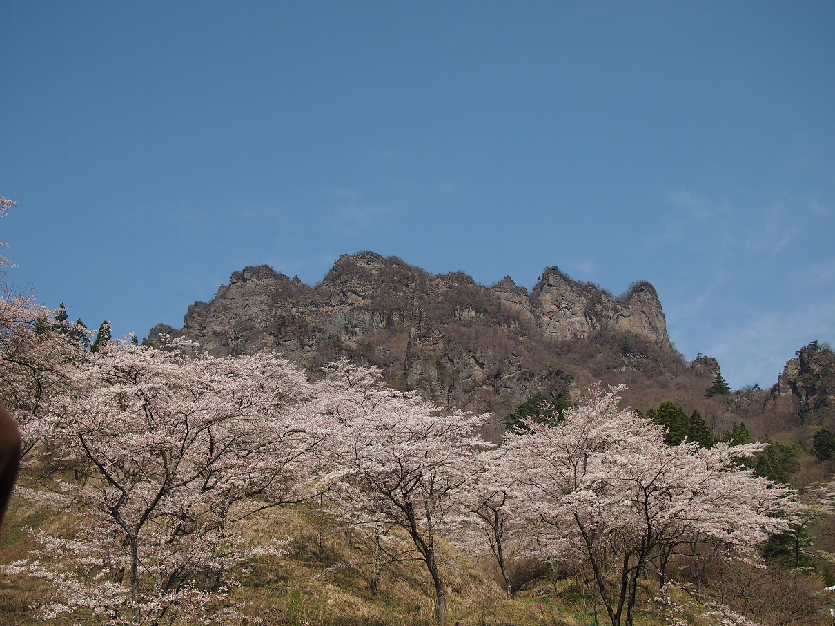 P4163782.jpg