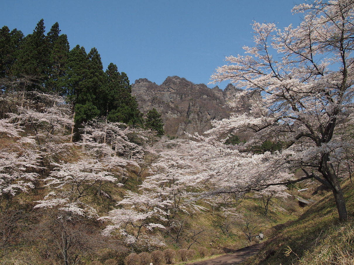 P4163785.jpg