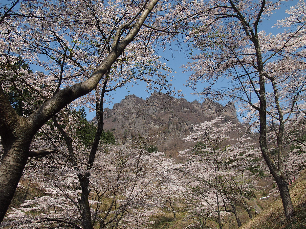 P4163790.jpg