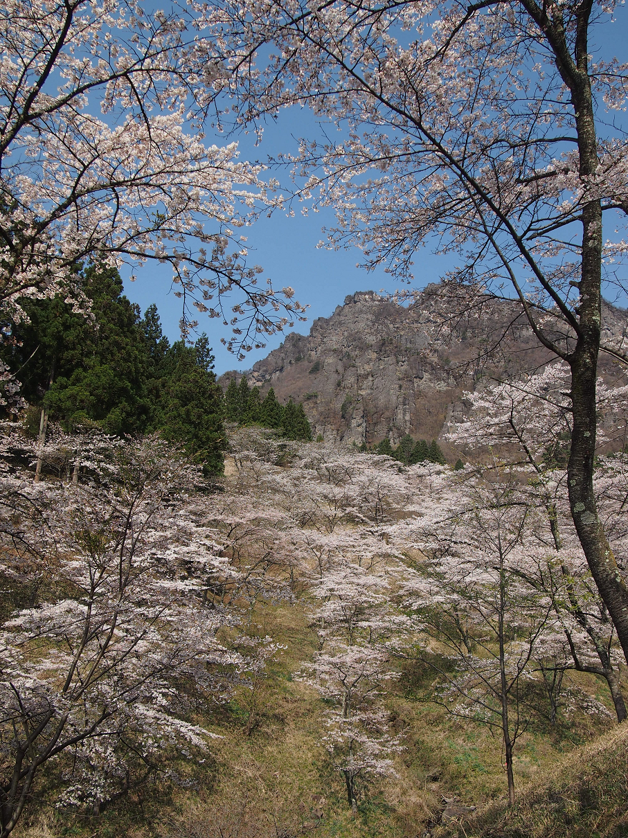 P4163791.jpg