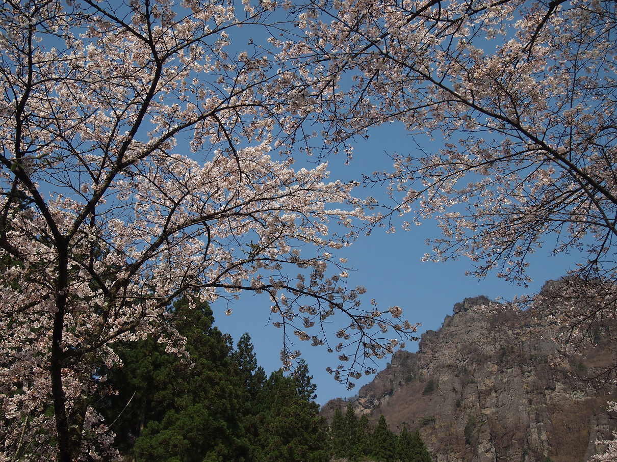 P4163792.jpg