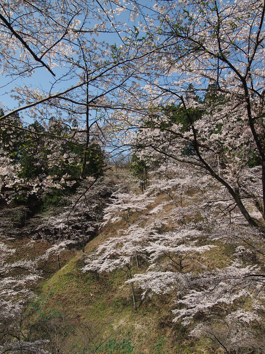 P4163794.jpg