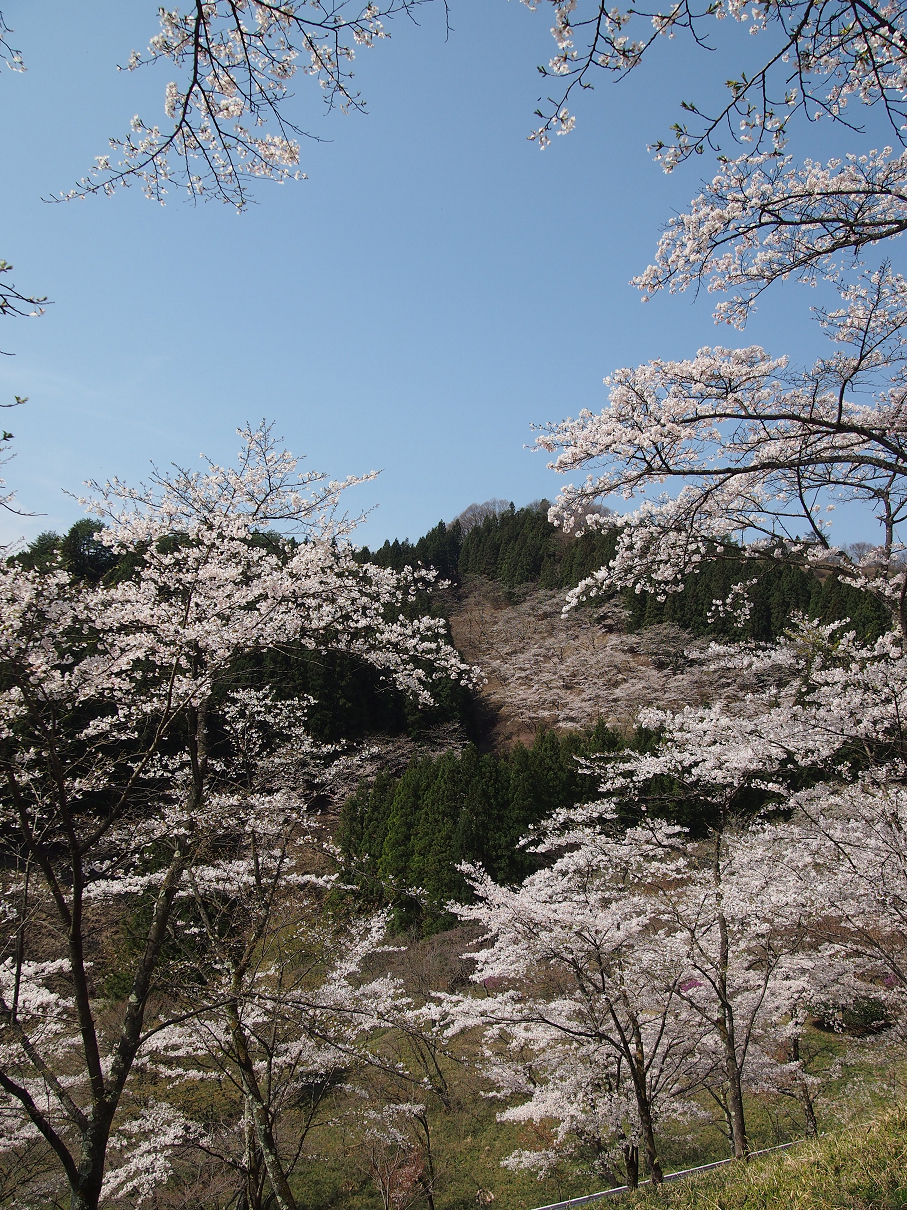P4163810.jpg